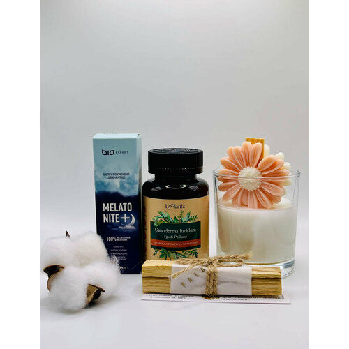 Подарочный набор bubo 