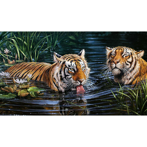 Алмазная мозаика Гранни «Тигры в воде» (40х70 см, полная выкладка, квадратные стразы)
