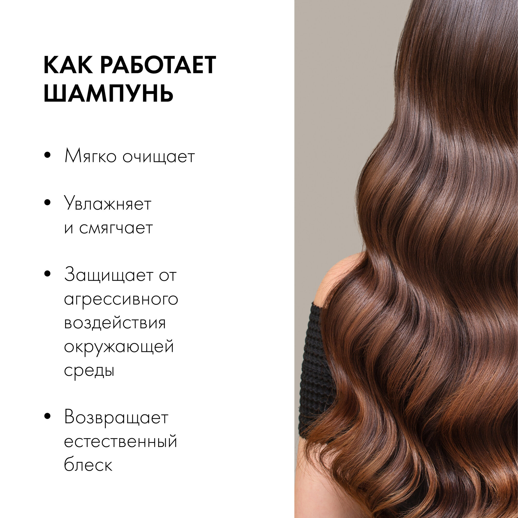 Шампунь Natura Siberica для окрашенных волос "Защита и блеск" дой-паки, 500 мл