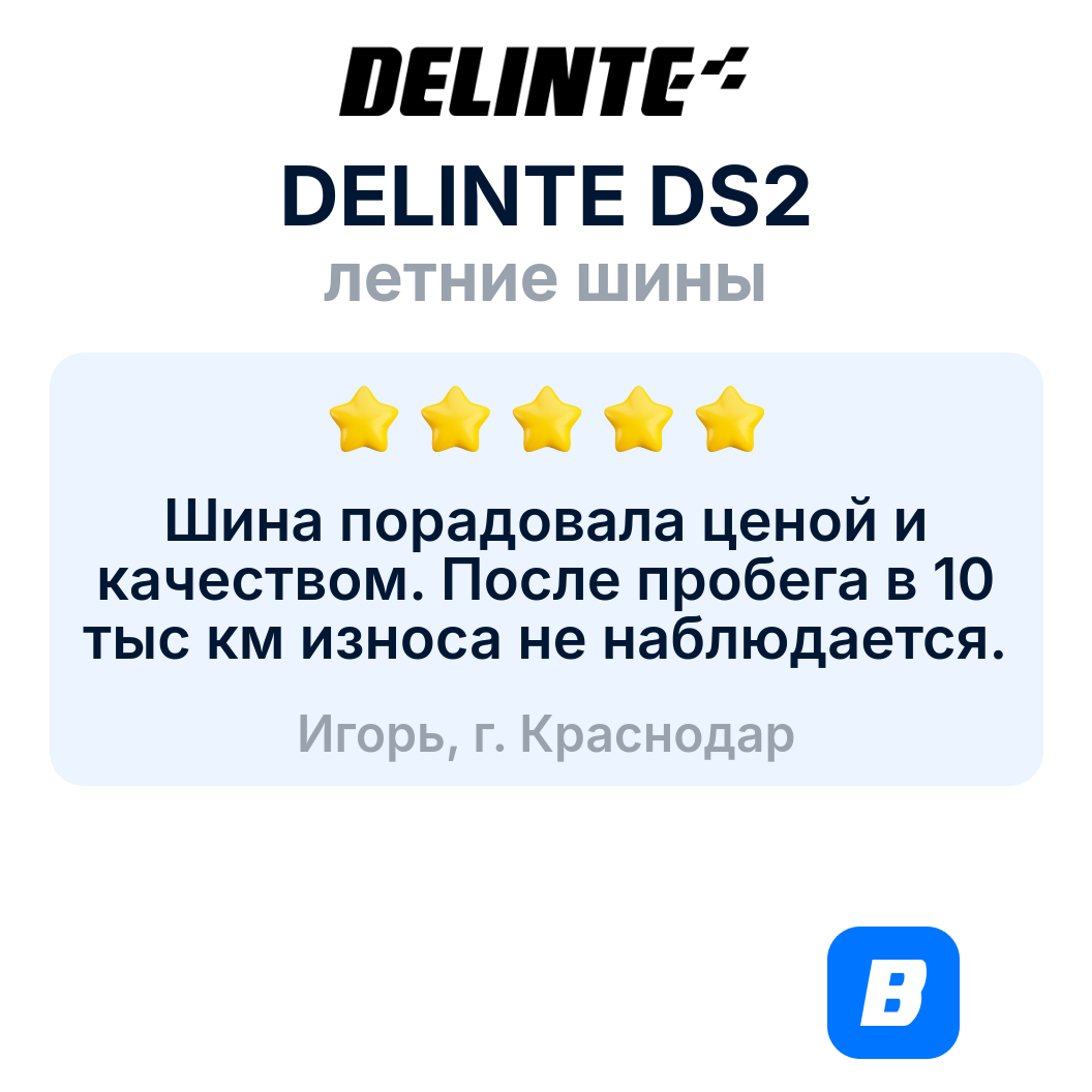 Летние шины DELINTE DS2 215/45R17 91W XL — фото 1