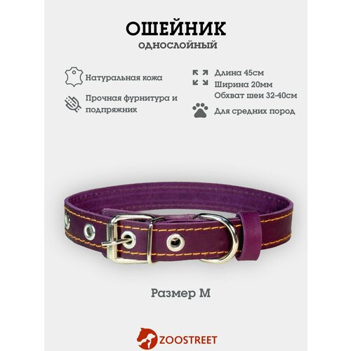 Ошейник для собак мелких пород кожаный, однослойный, 20мм, 45см, с подпряжником M