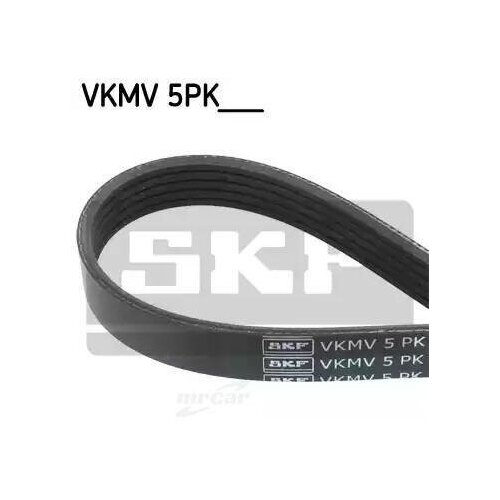 фото Skf vkmv5pk956 ремень приводной