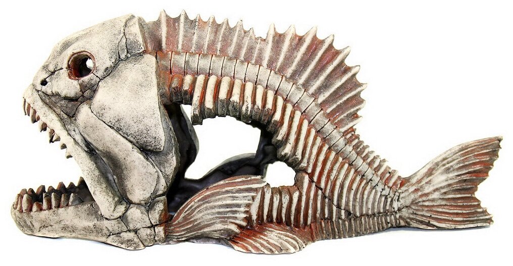 904 Грот Декси - Скелет рыбы 44*17*20 см, 250840