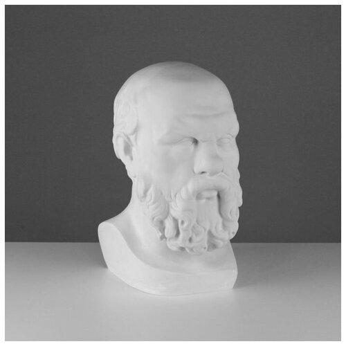 Гипсовая фигура, голова Сократа Мастерская Экорше, 20 х 20 х 38,5 см