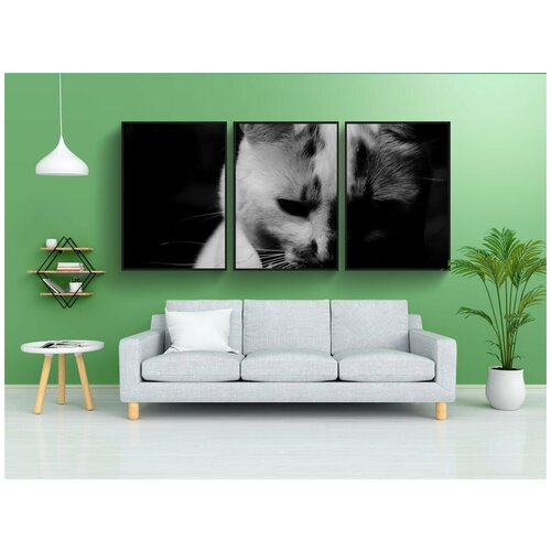 фото Набор модулных постеров для интерьера "демон, кошка, домашний питомец" 60x90 см. в тубусе, без рамки lotsprints