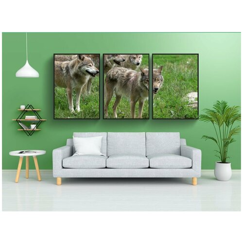 фото Набор модулных постеров для интерьера "волки, волк, пакет" 60x90 см. в тубусе, без рамки lotsprints