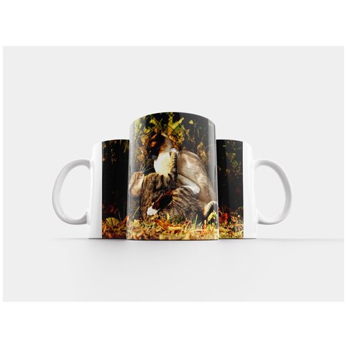 фото Кружка "кот, боевой, драку" 320 мл lotsprints