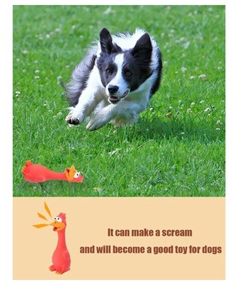 Игрушки для собак/ Игрушка пищалка для собак/ Резиновые игрушки для собак/ Курица с пищалкой Petsy, красная - фотография № 3