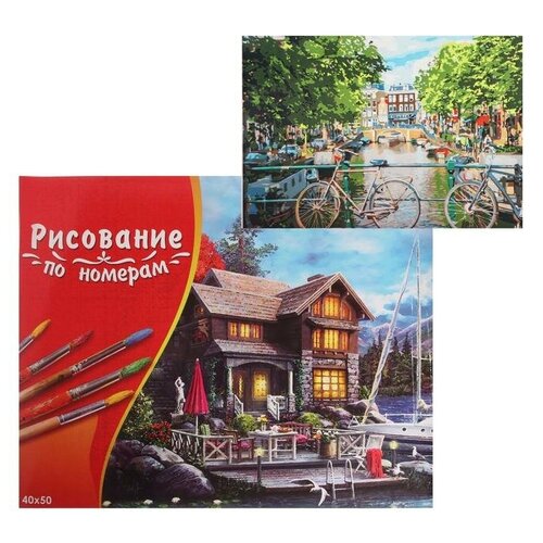 фото Картина по номерам 40×50 см в коробке «велосипеды на мосту в амстердаме» рыжий кот