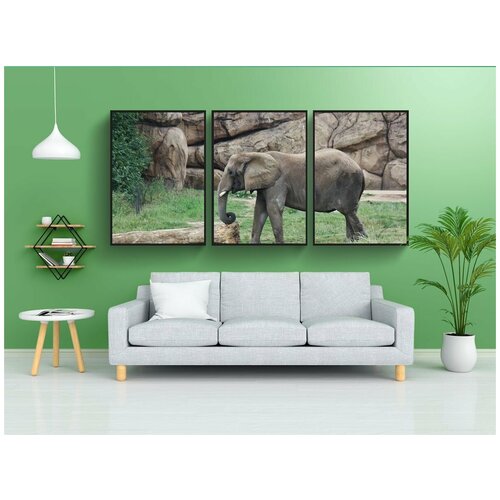 фото Набор модулных постеров для интерьера "слон, индийский слон, ствол" 60x90 см. в тубусе, без рамки lotsprints