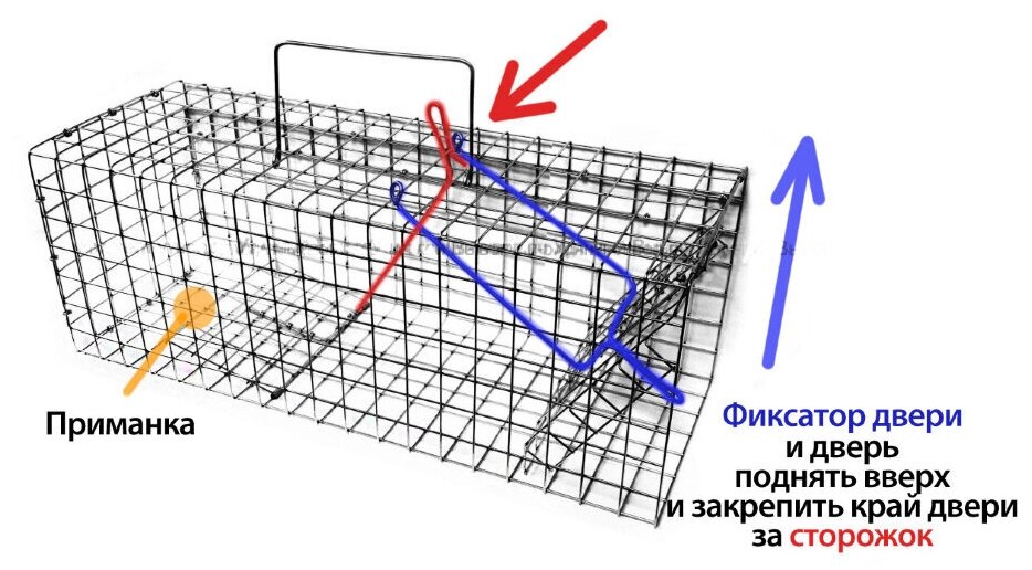 Живоловка для грызунов и крыс Клетка Макси Плюс (48см) - фотография № 4