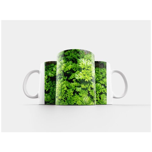 фото Кружка "parsely, травы, завод" 320 мл lotsprints