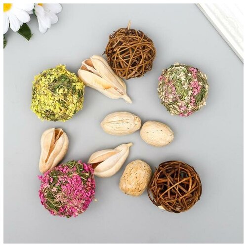 фото Набор для декора ""blumentag 2. природные материалы" mikimarket