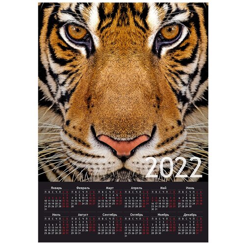 Купить Календарь Woozzee Тигриная морда KLS-1278-2132