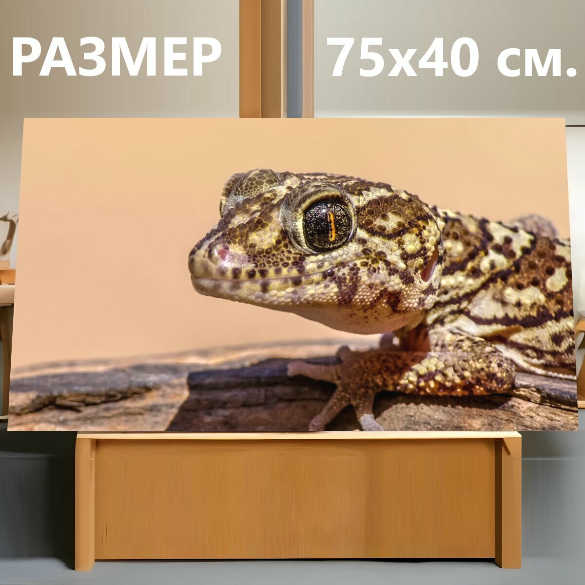 Картина на холсте "Геккон, рептилия, животное" на подрамнике 75х40 см. для интерьера