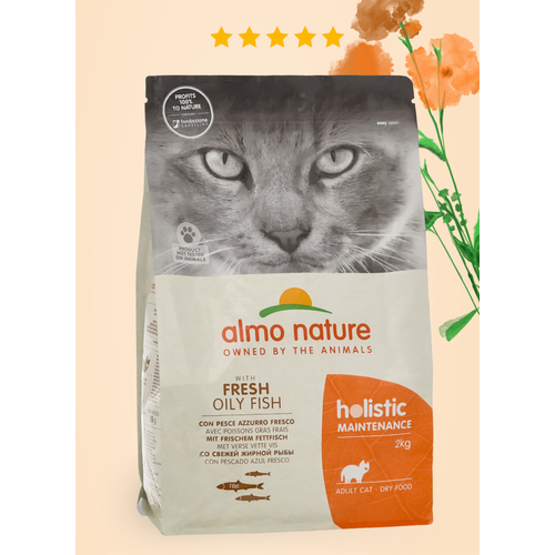 HOLISTIC Сухой корм для взрослых кошек со свежей морской рыбой, Life Maintenance, Fresh Oily Fish