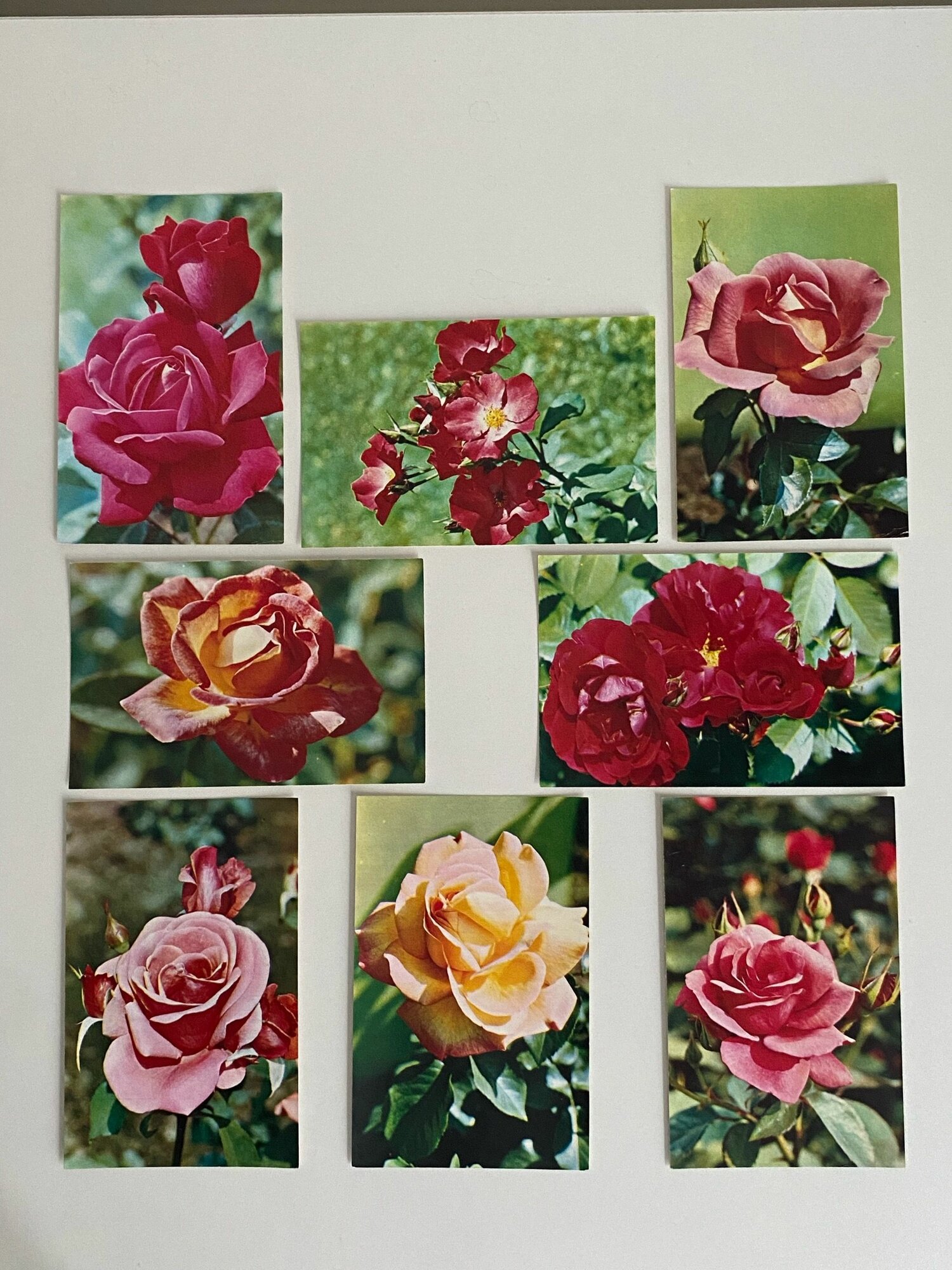 Набор винтажных открыток "Цветы". СССР. 8 шт. Размеры: 14х9 см.