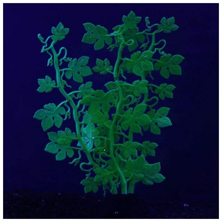 Растение силиконовое аквариумное, светящееся в темноте, 6,5 х 18 см, зелёное 7108788 . - фотография № 4