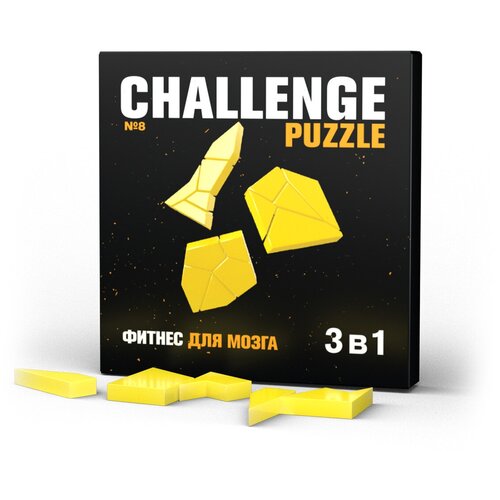 Challenging Puzzle №8 IQ Puzzle