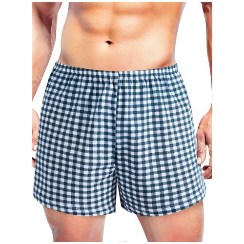 фото Эйс трусы мужские семейные, 100% хлопок 600201, светло-серый / коричневый, 6xl (60)