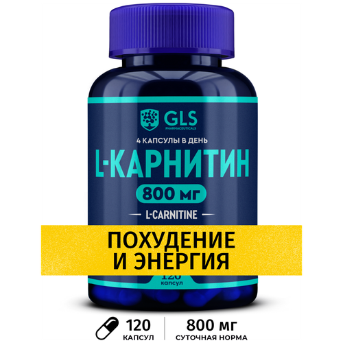 L-карнитин 800, 120 капсул по 400 мг 7504107 комплекс витаминов для мужского здоровья laboratories ineldea fertilia homme ацетил l карнитин таурин в саше 30 шт