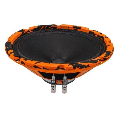 DL Audio Акустика DL Audio Gryphon Pro 200 Neo 605400₽