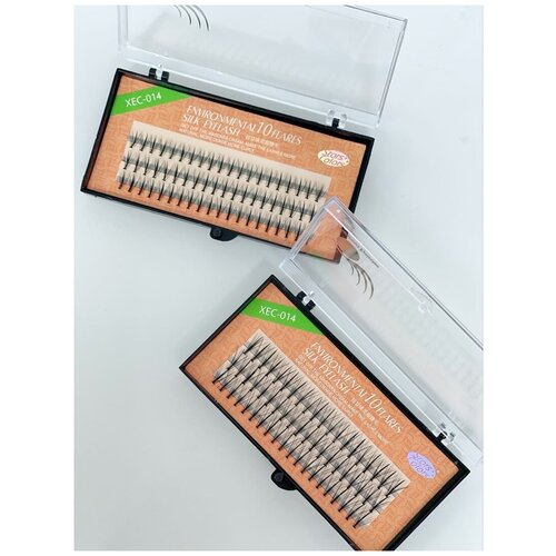 Накладные ресницы в пучках 10 мм изгиб С, Stars Color 10D