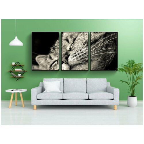 фото Набор модулных постеров для интерьера "кот, животное, домашнее животное" 60x90 см. в тубусе, без рамки lotsprints