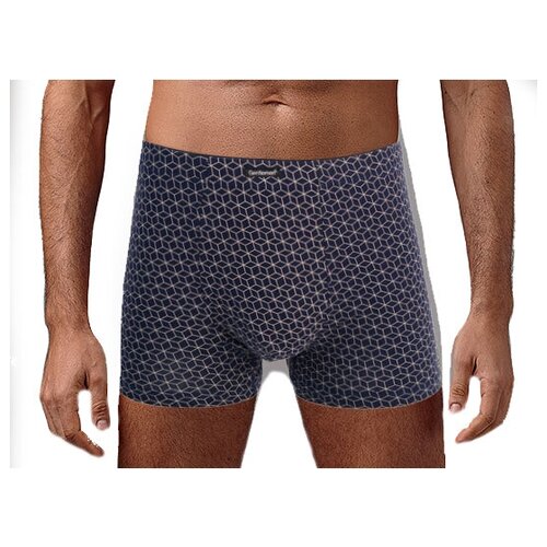 фото Трусы мужские gentlemen collection xxl
