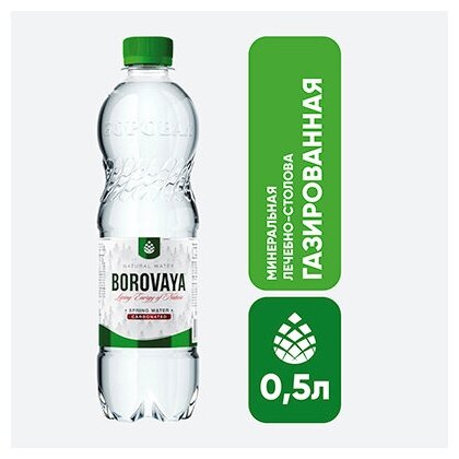 Вода BOROVAYA (боровая), лечебно-столовая минеральная, газированная, ПЭТ 0.5 л (12 штук) - фотография № 5