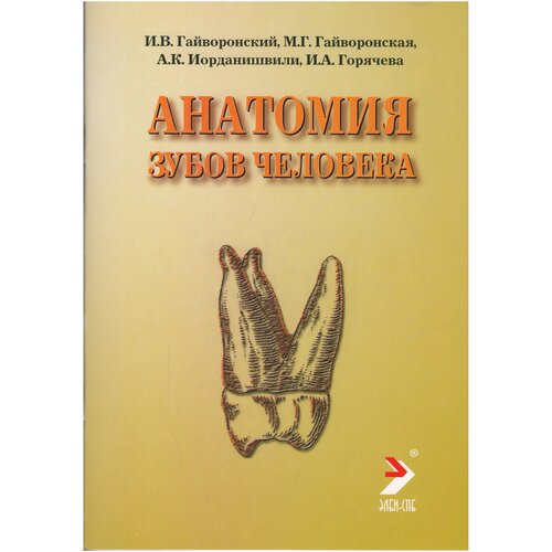 Гайворонский И. В. Анатомия зубов человека. -