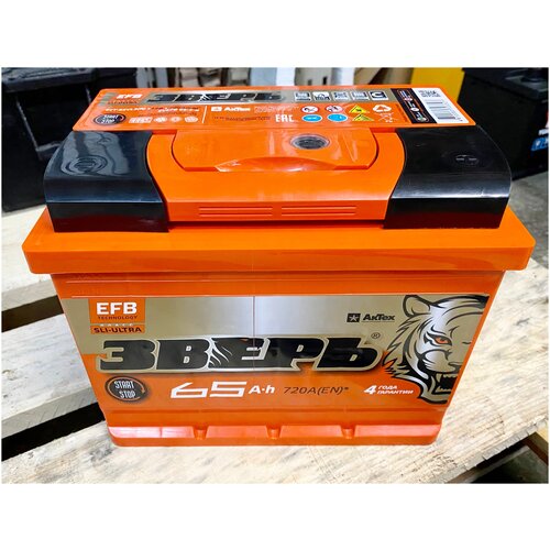 Аккумулятор зверь EFB 65 А/ч ОБР 242х175х190 EN680