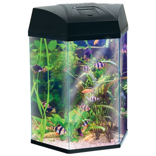 Аквариум Hexagon 22л черный 330*300*433мм