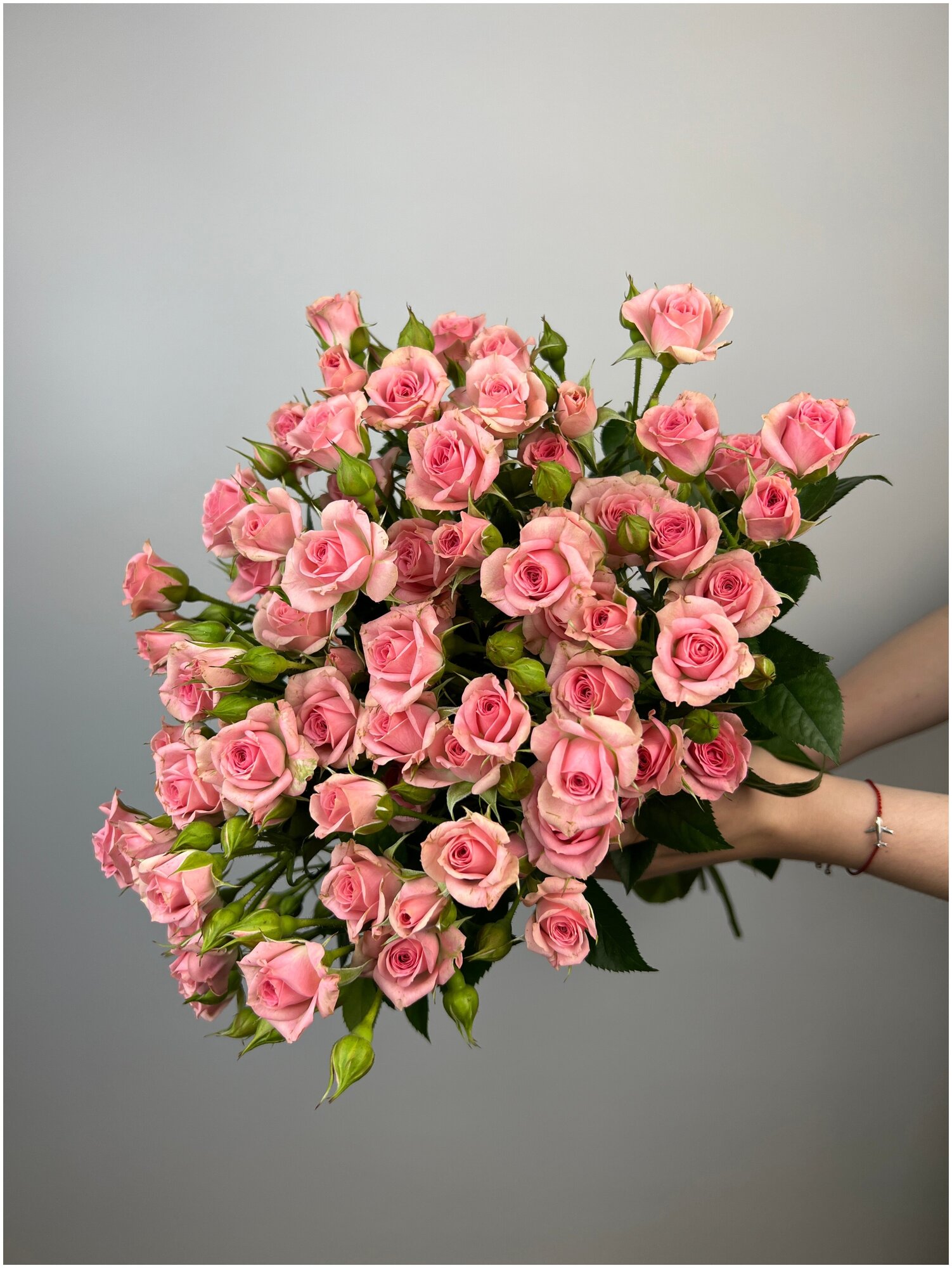 "Букет из 25 кустовых роз Грация" 60 см