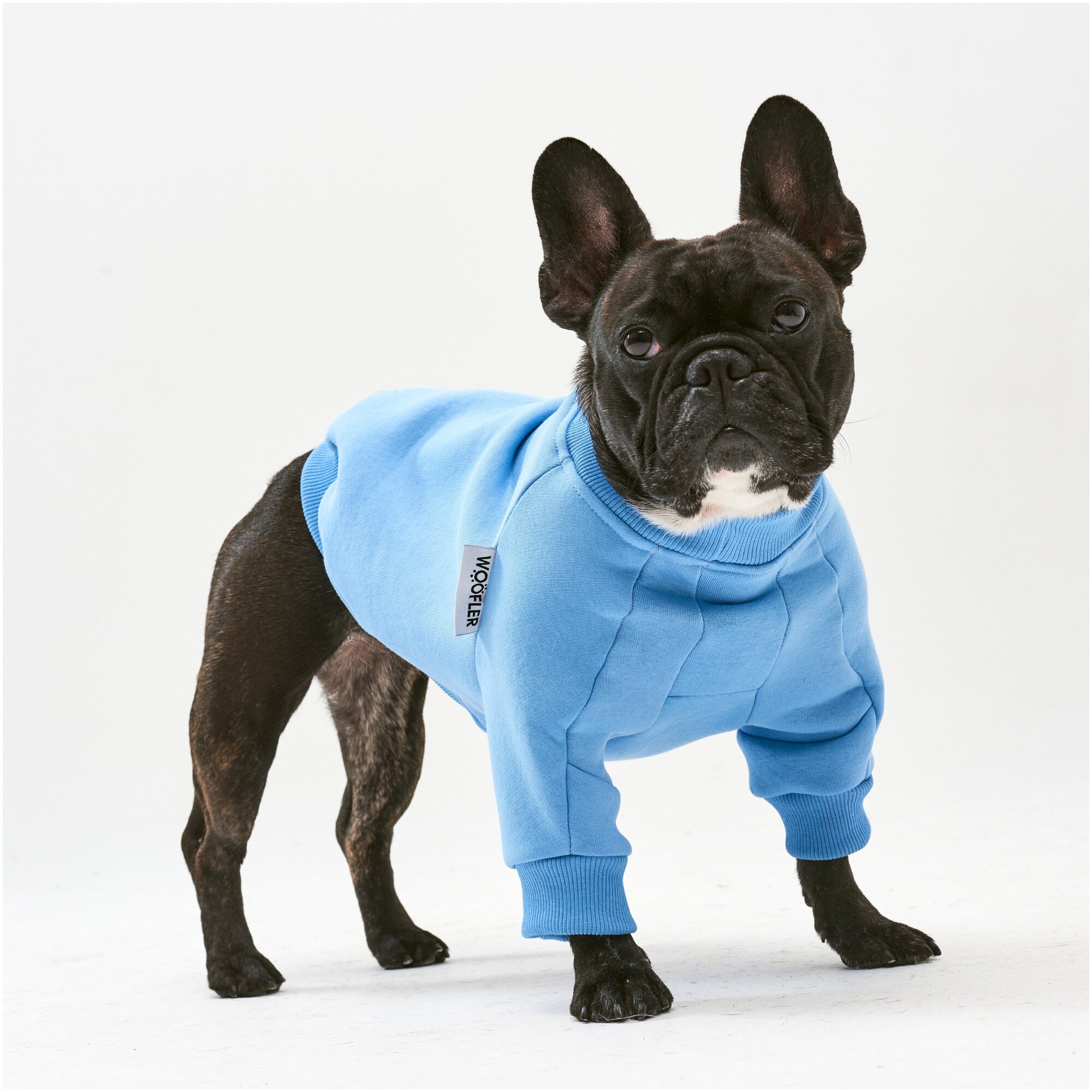 WOOFLER /Свитшот для французского бульдога, бультерьера и амстаффа, толстовка из футера, одежда для собак, цвет голубой, размер S32 - фотография № 5