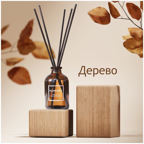 Ароматизатор для дома с палочками, ароматический диффузор Clim Art Древесный, 50 мл, подарок мужчинам и женщинам