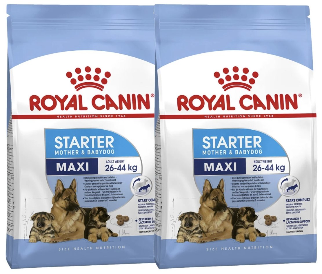 ROYAL CANIN MAXI STARTER для щенков крупных пород до 2 месяцев, беременных и кормящих сук (4 + 4 кг)