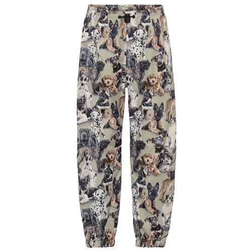 фото Брюки molo, разноцветный, 134-140