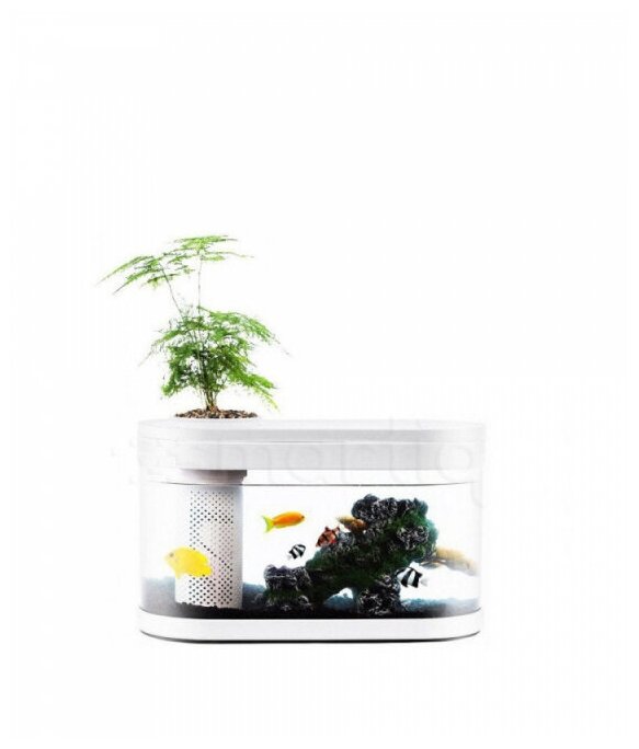 Умный Аквариум Descriptive Geometry C180 Smart Fish Tank PRO Standart Set - фотография № 15