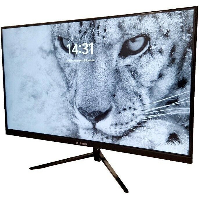фото Монитор IRBIS 24" SmartView 24 (24FIUS01), черный