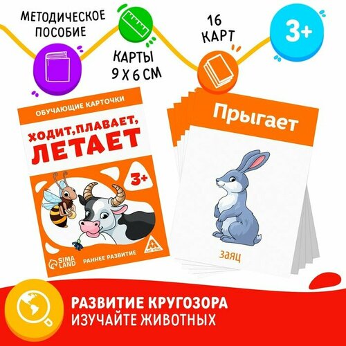 Обучающие карточки «Ходит, плавает, летает», 3+ комарова д ред обведи и раскрась кто ползает плавает летает