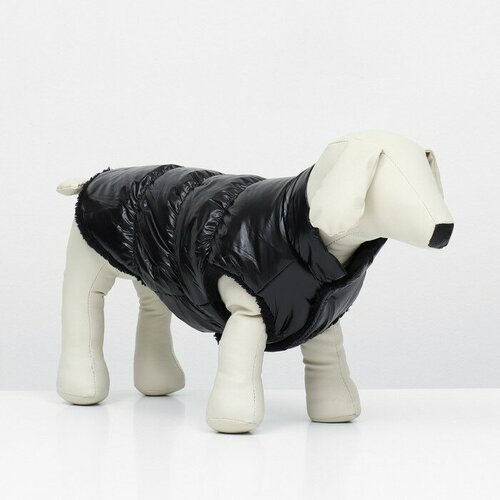 Куртка для собак "Блеск", хS (ДС 20, ОГ 28, ОШ 19 см, до 3 кг), чёрная