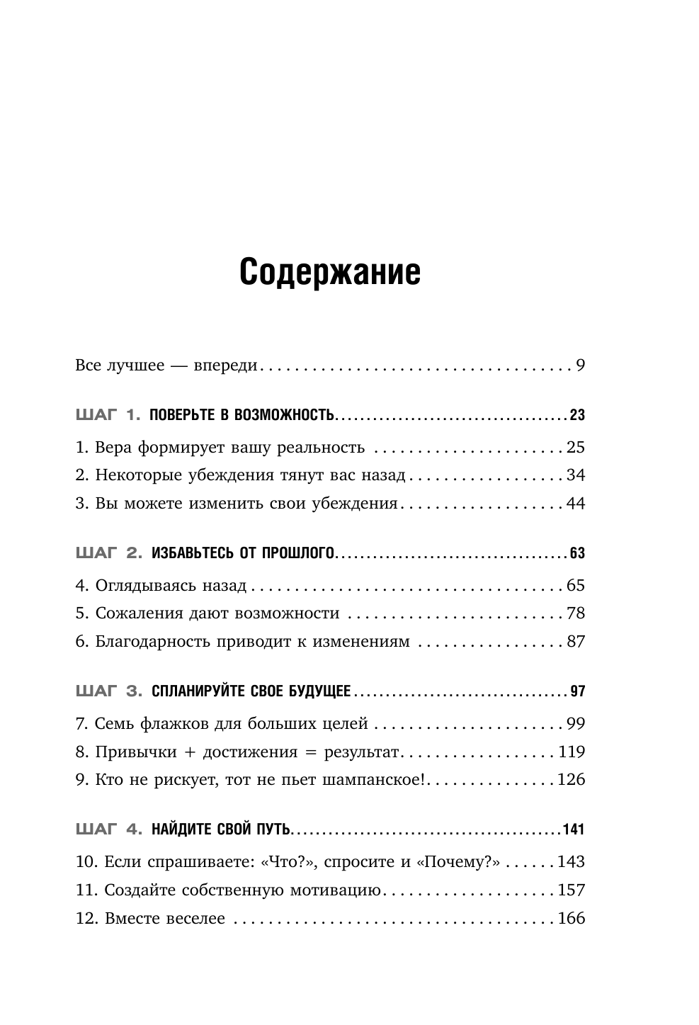 Твой лучший год (Спирина Ю. (переводчик), Хайятт Майкл) - фото №3