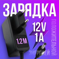 Блок питания (адаптер) 12V 1A 3,5х1,35 для ирригаторов, сетевого оборудования, коммутаторов, роутеров, цифровых приставок МТС, камер видеонаблюдения