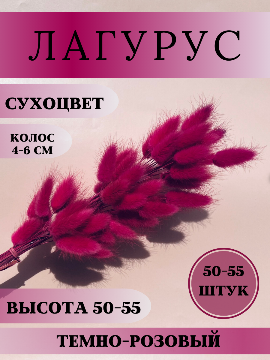 Натуральные сухоцветы лагуруса (Цвет: темно-розовый)