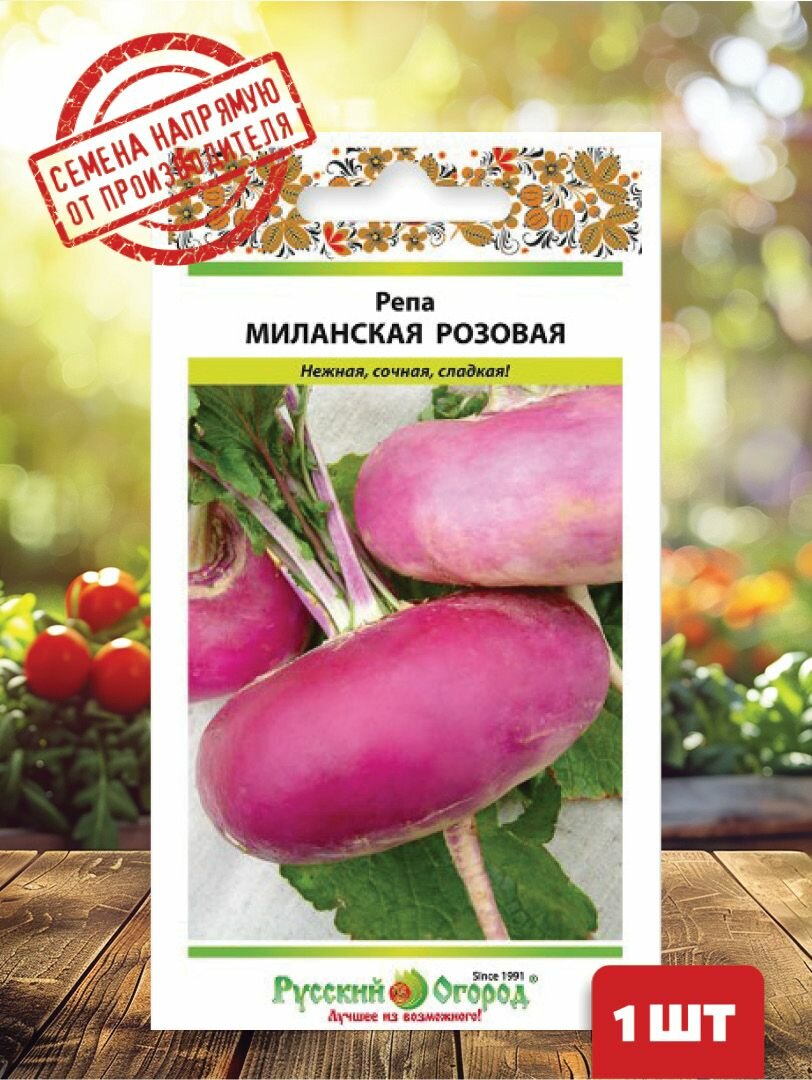 Семена Репа Миланская розовая