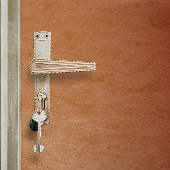 Комплект для обивки дверей 110 × 205 см: иск. кожа, поролон 3 мм, гвозди, бежевый, «Эконом»