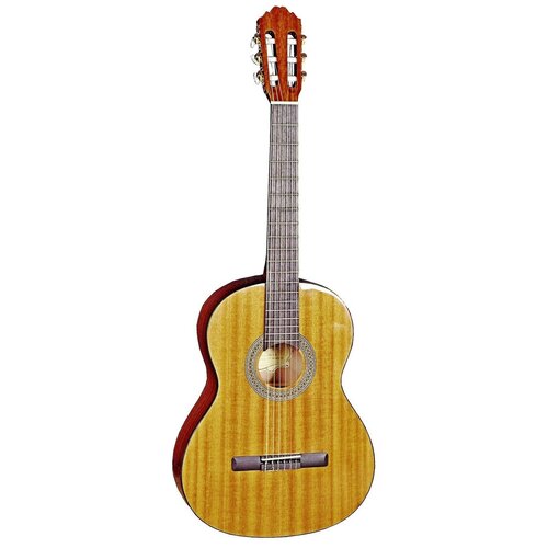 Классическая гитара Samick CNG1/N светло-коричневый классическая гитара samick cng 3 n