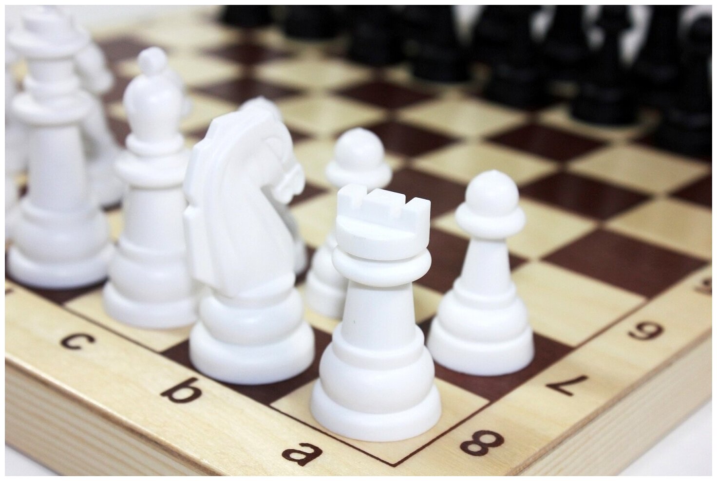 Настольная игра Десятое королевство Шахматы, пластмассовые фигуры в деревянной упаковке (поле 29см х 29см) 03878ДК - фотография № 18