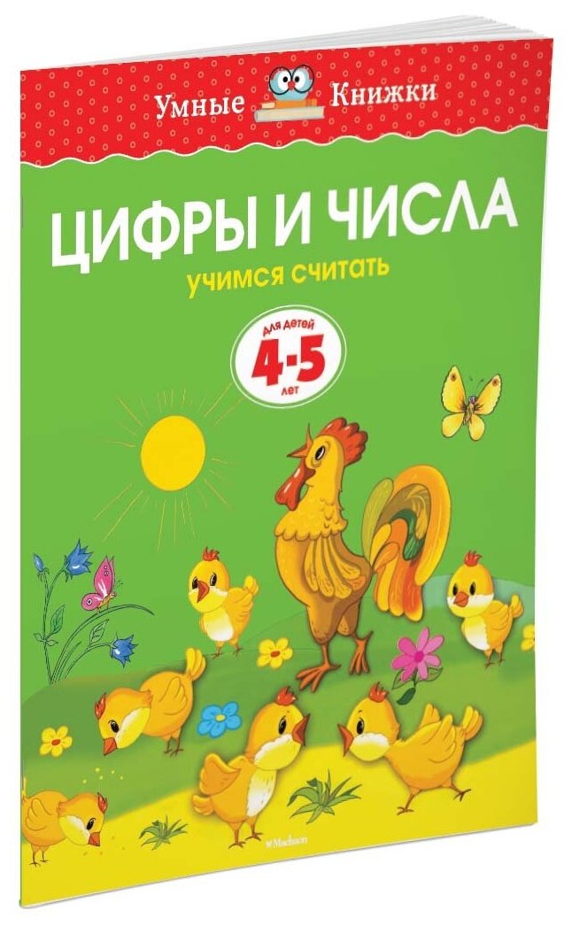 Книга Цифры и числа (4-5 лет)